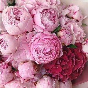 Meet your Posher, Eunjoo